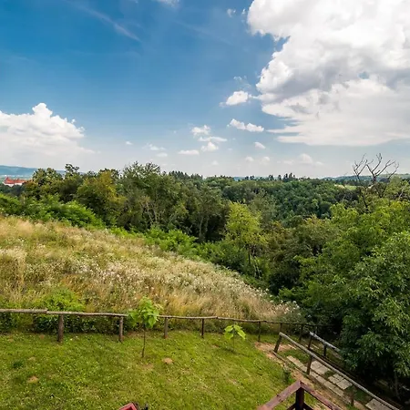 Sam's Green Hill Brežice